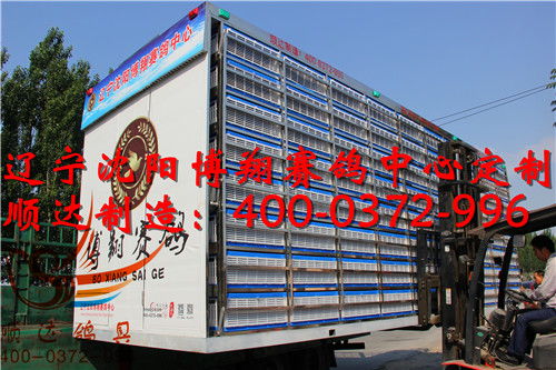 遼寧沈陽(yáng)博翔賽鴿中心定制 訓(xùn)放籠 賽鴿集裝箱 歐式放飛籠產(chǎn)品展示