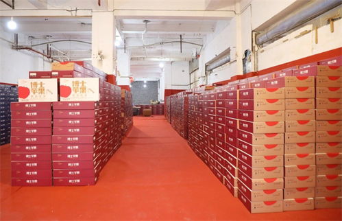 水果批發(fā)多個(gè)好去處 觀山湖這個(gè)交易中心即將開(kāi)業(yè)