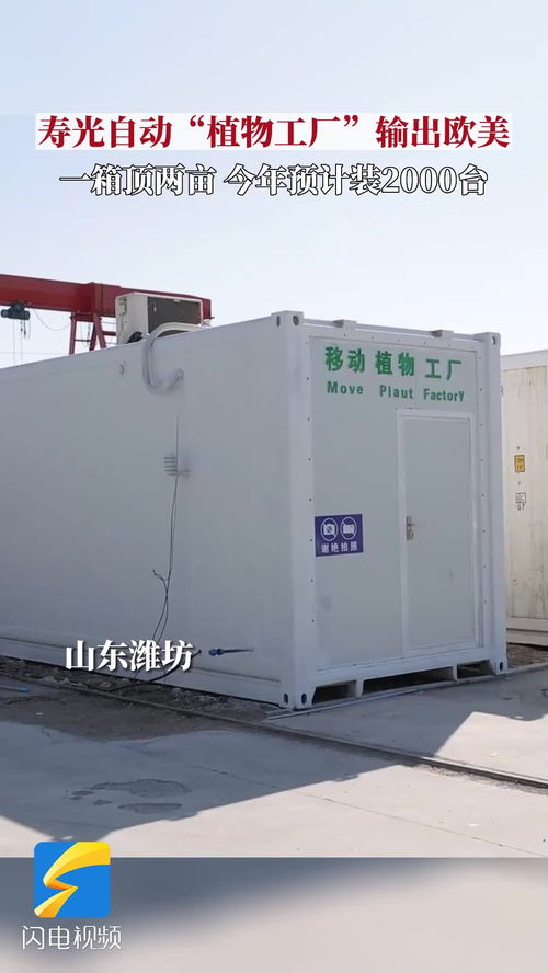 種菜果然是山東人天賦技能 壽光自動 植物工廠 輸出歐美今年預(yù)計推廣2000臺