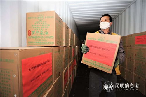 云南開行農產品集裝箱專列對口馳援湖北咸寧