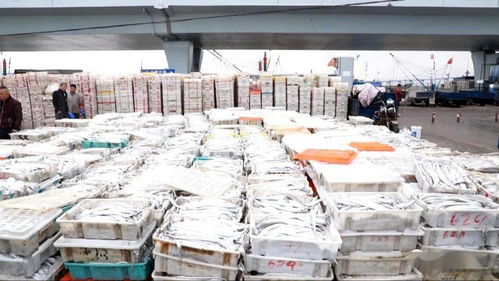 海鮮市場(chǎng)的 傲嬌 價(jià)格幫你問好了,看完別流口水