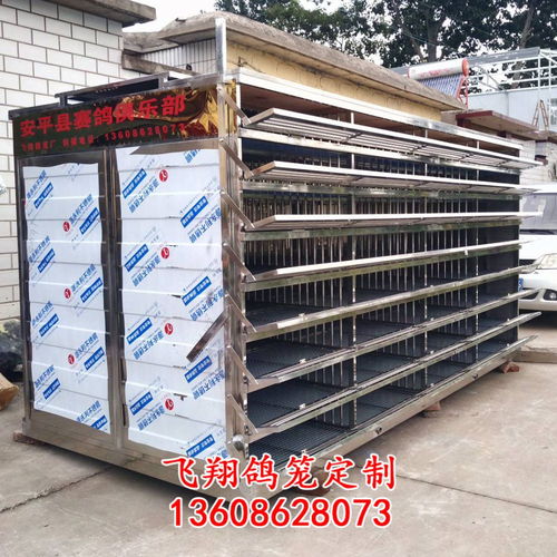 飛翔鴿籠 不銹鋼放飛籠 訓(xùn)放籠 賽鴿籠 賽鴿集裝箱產(chǎn)品展示