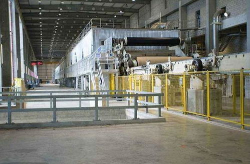 了解到內(nèi)地紙張市場(chǎng)的巨大潛力,她成立公司,成就紙業(yè)王國