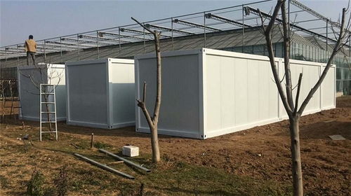 拼裝箱框架批發與租賃指南 邢臺、文安地區的優選方案